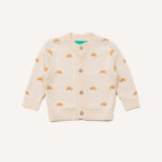 Small Rainbow Jumper